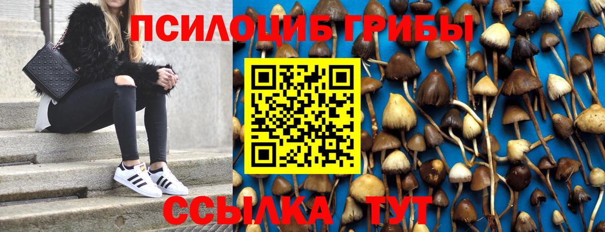 Псилоцибиновые грибы ЛСД  Псилоцибиновые грибы Magic Shrooms  Тихвин  Вход с VPN 